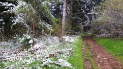 5 mai 2019, Haut de Beaudet, un peu de neige