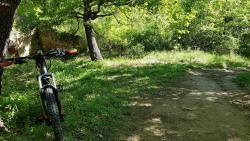 VTT-15181