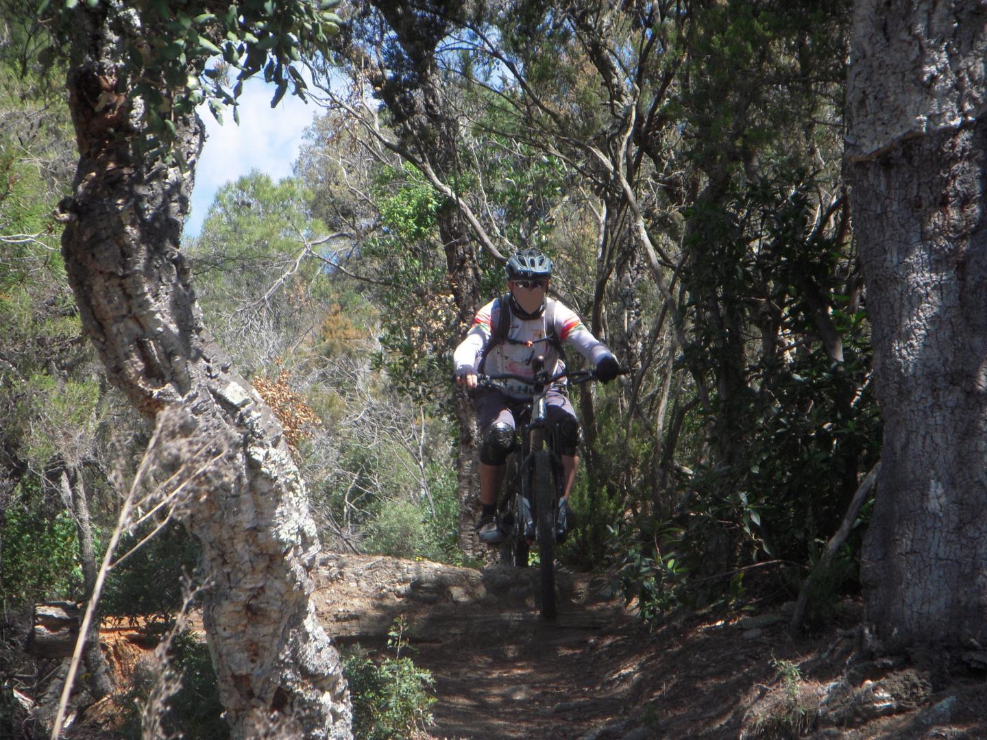 Pinéda Ride
