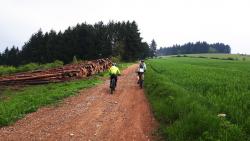VTTistes sur piste agricole