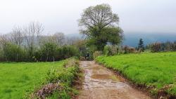 Terrain humide en ce 12 mai 2019