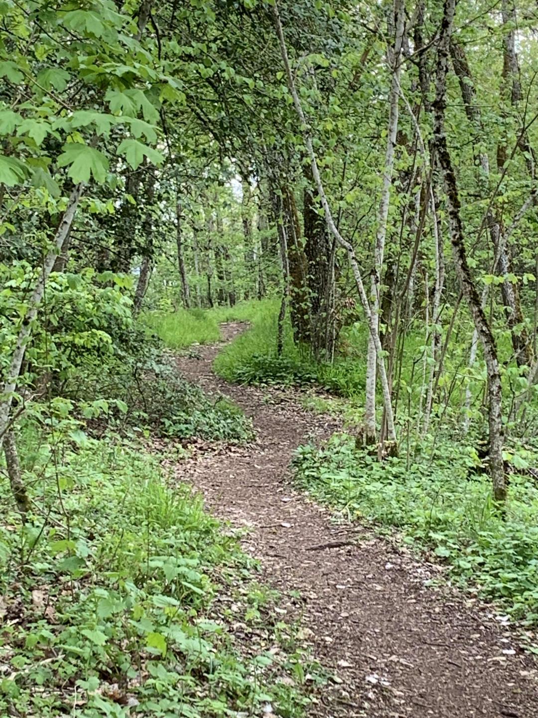 Petit Salève en boucle depuis Etrembières