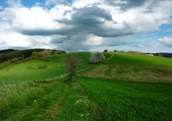 Vallon vert
