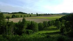 Champs des Monts du Lyonnais (côté Loire)