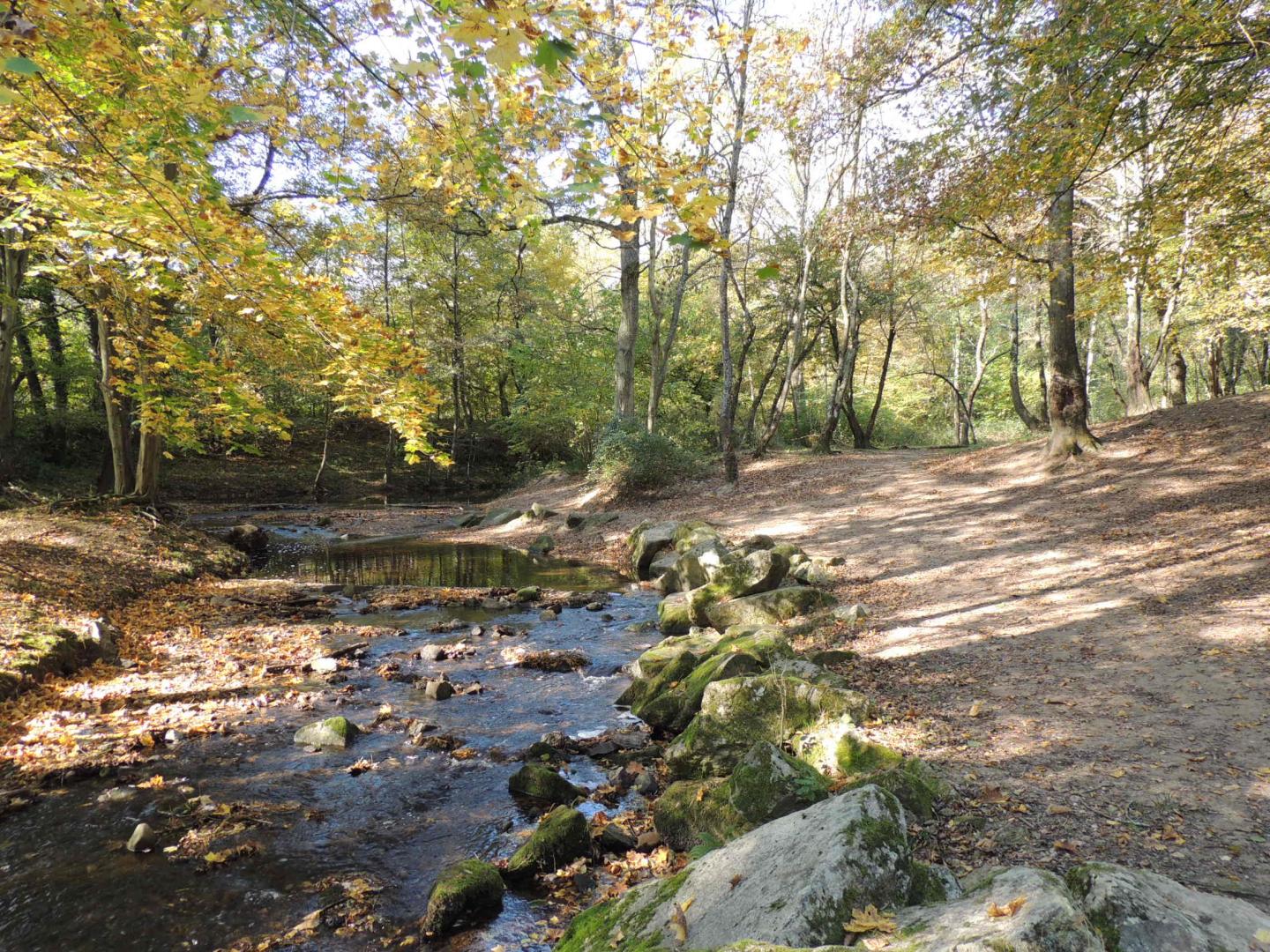 Brignais - Circuit N° 200 : Le Garon