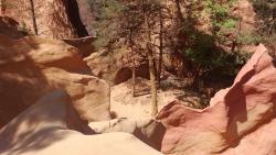 Vue plongeante sur le canyon