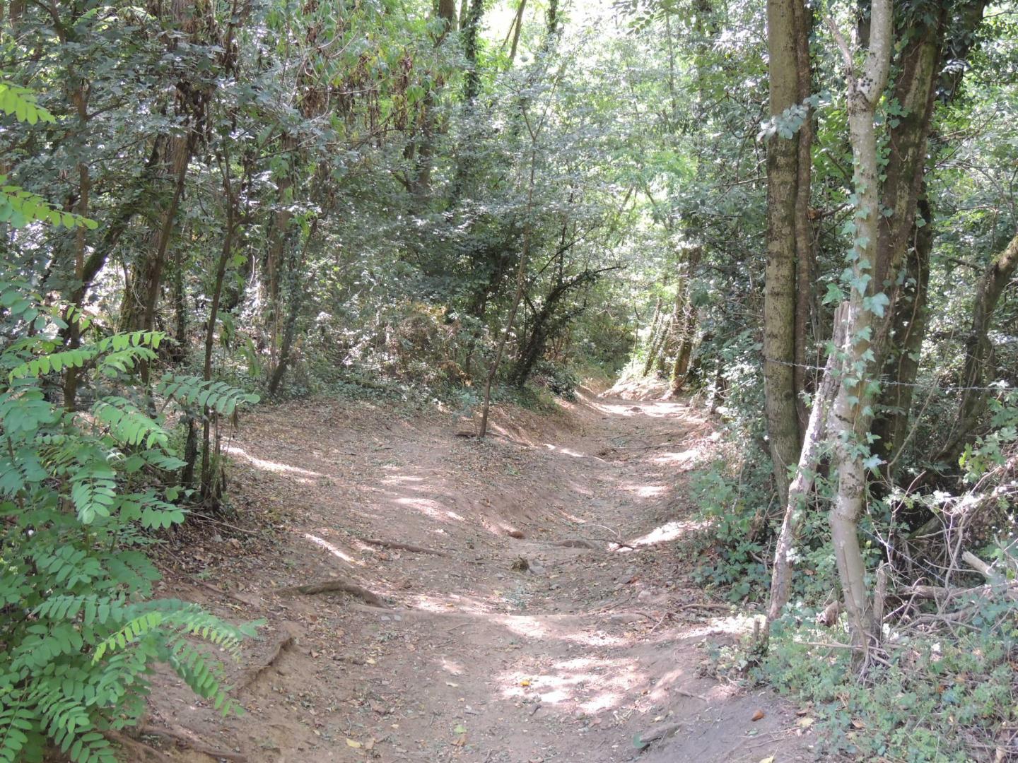 Brignais - Circuit N° 202 : Les Lapins