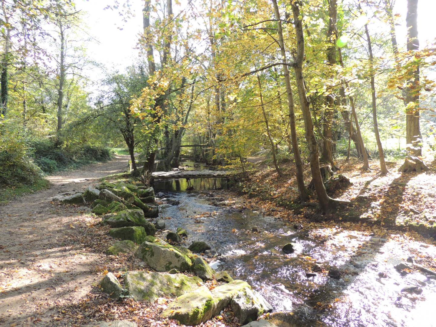 Chaponost - Circuit N° 212 : La Vallée en Barret