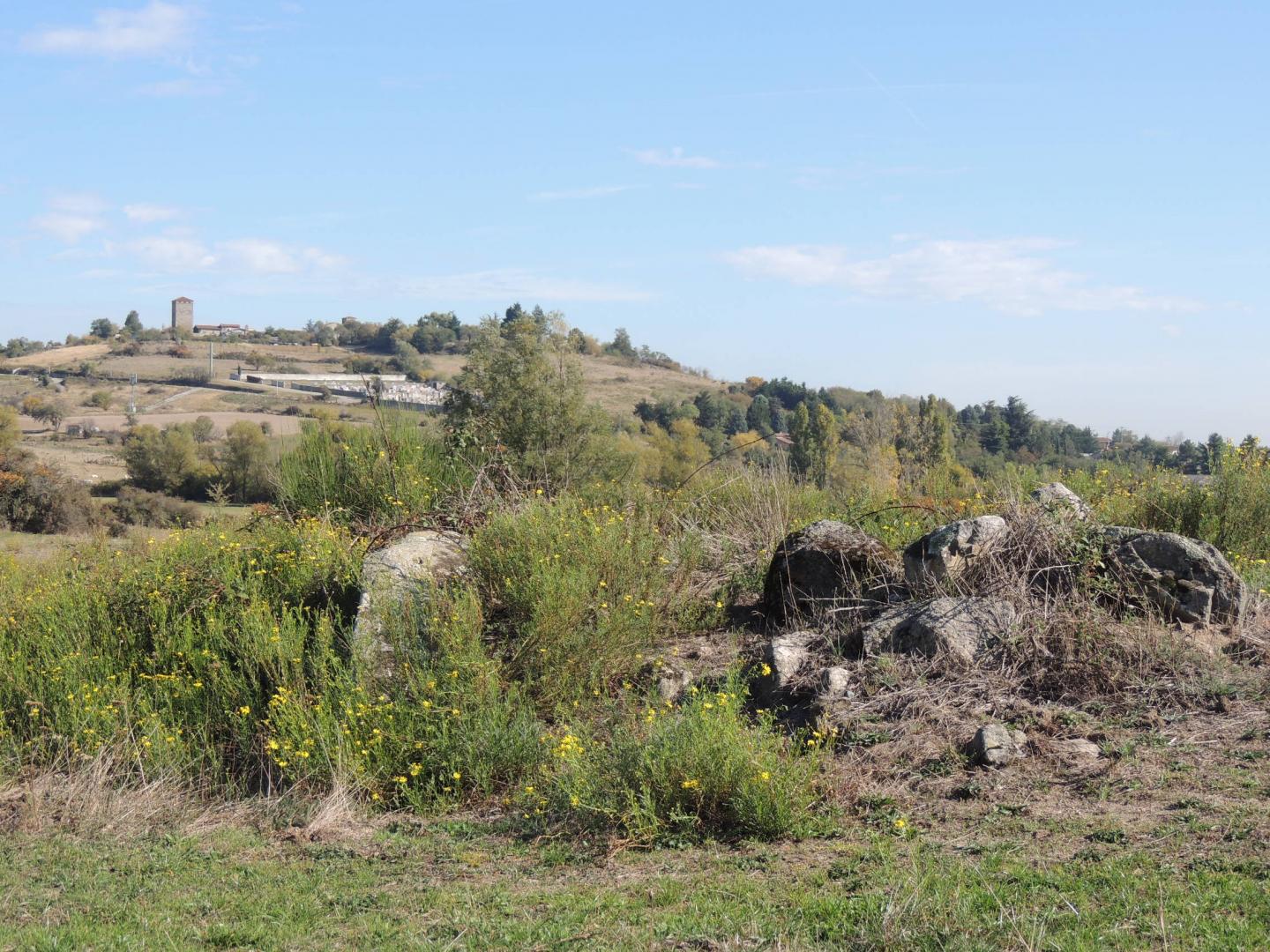 Circuit N° 231 - Les Landes de Montagny