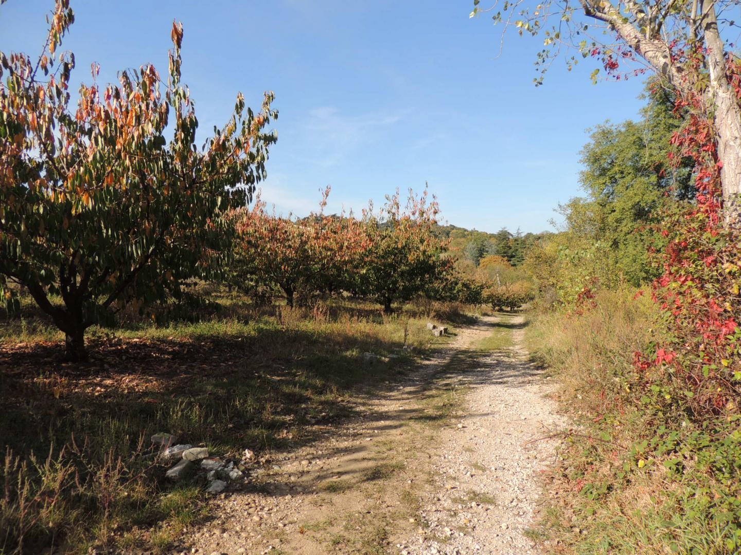 Vourles - Circuit N° 241 : La vallée du Garon