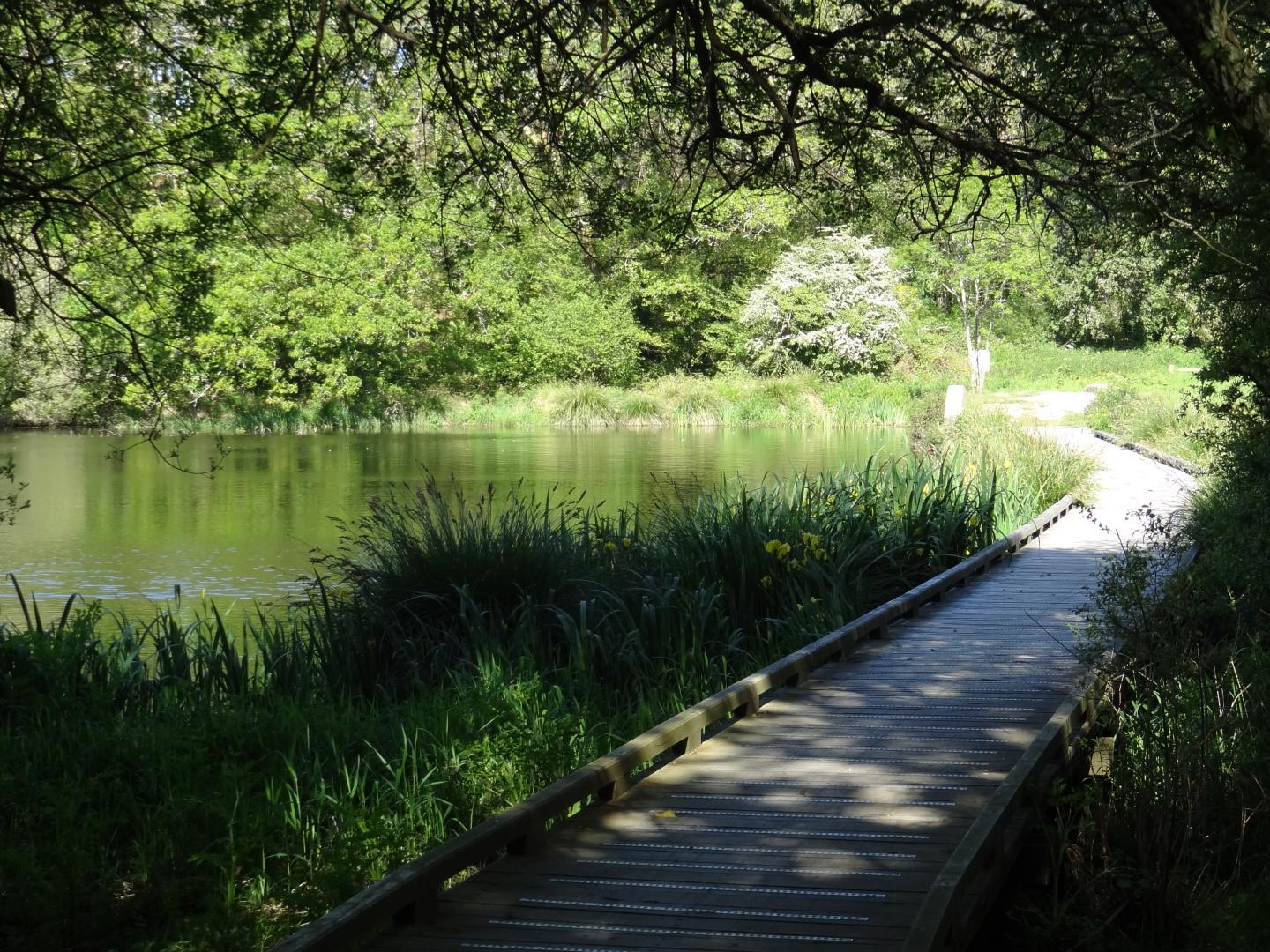 Auray - Parcours N° 8 :  Auray - Pluneret - Sainte-Anne-d'Auray - Plumergat - Brec'h