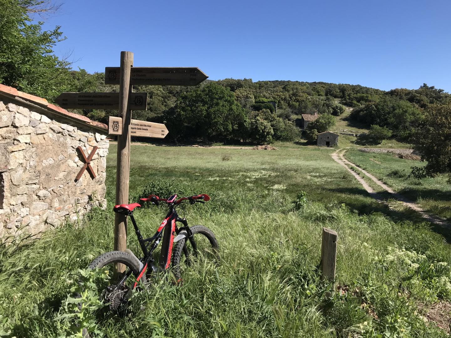 Forêt de la Sainte-Victoire