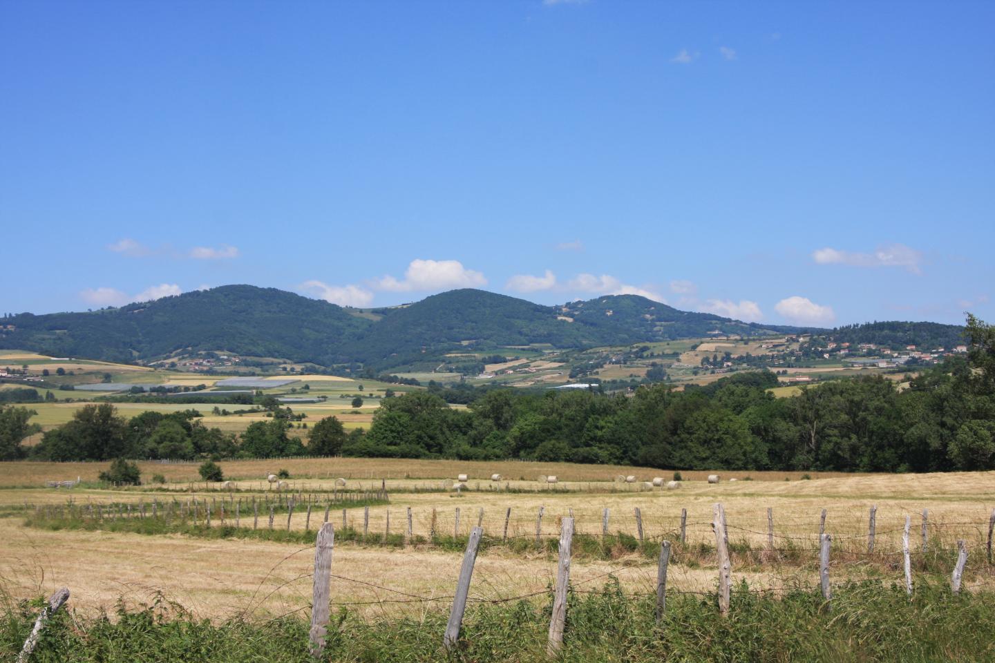 Mornant - Circuit N° 158 : Découverte de Beauvallon