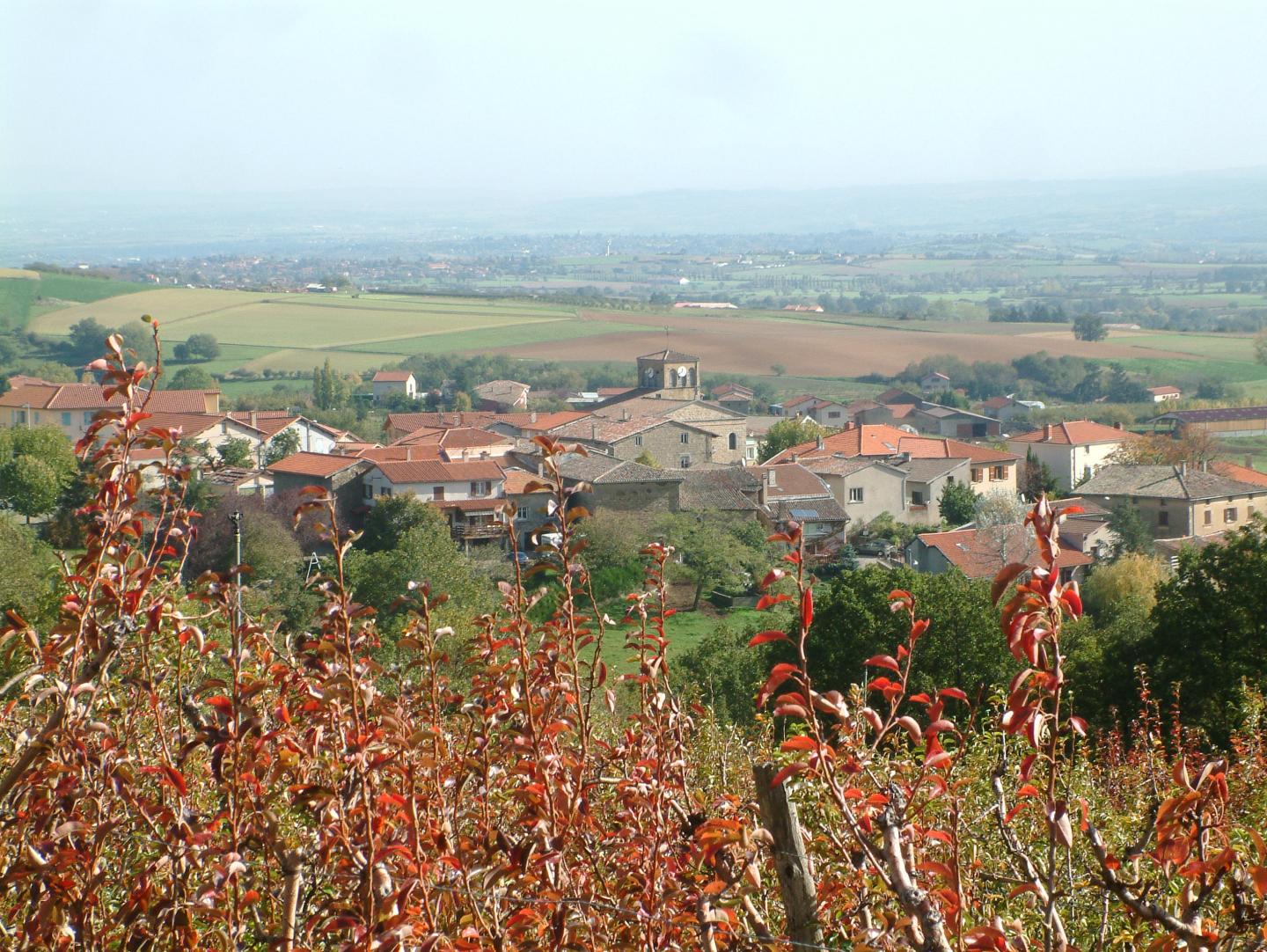 Mornant - Circuit N° 161 : Par combes et par vaux
