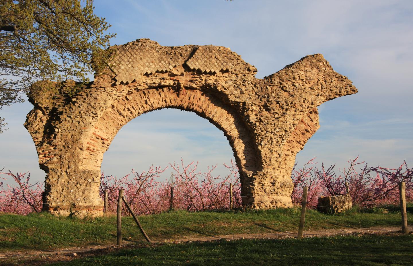 Soucieu-en-Jarrest - Circuit N° 185 : Vignes et coteaux