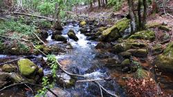 Torrent du Barbenan