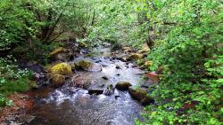Torrent de la Besbre
