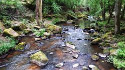 Blocs de granit dans la Besbre