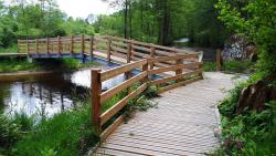 Passerelle au sud du plan d'eau de Saint-Clément