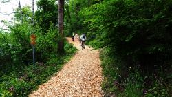Sentier de l'accrobranche en plaquettes de bois