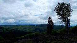 Paysage de la Montagne Bourbonnaise