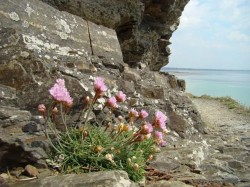 sentier douanier