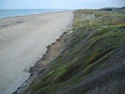 chemin douanier