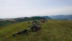 VTT-15558