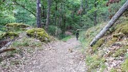 Joli chemin avec blocs de granit couverts de mousse