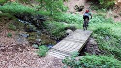 Passerelle dans la descente finale