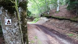 Balisage VTT FFC N° 49