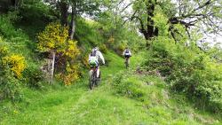 Après le village de Chastreix, montée à Baffaud