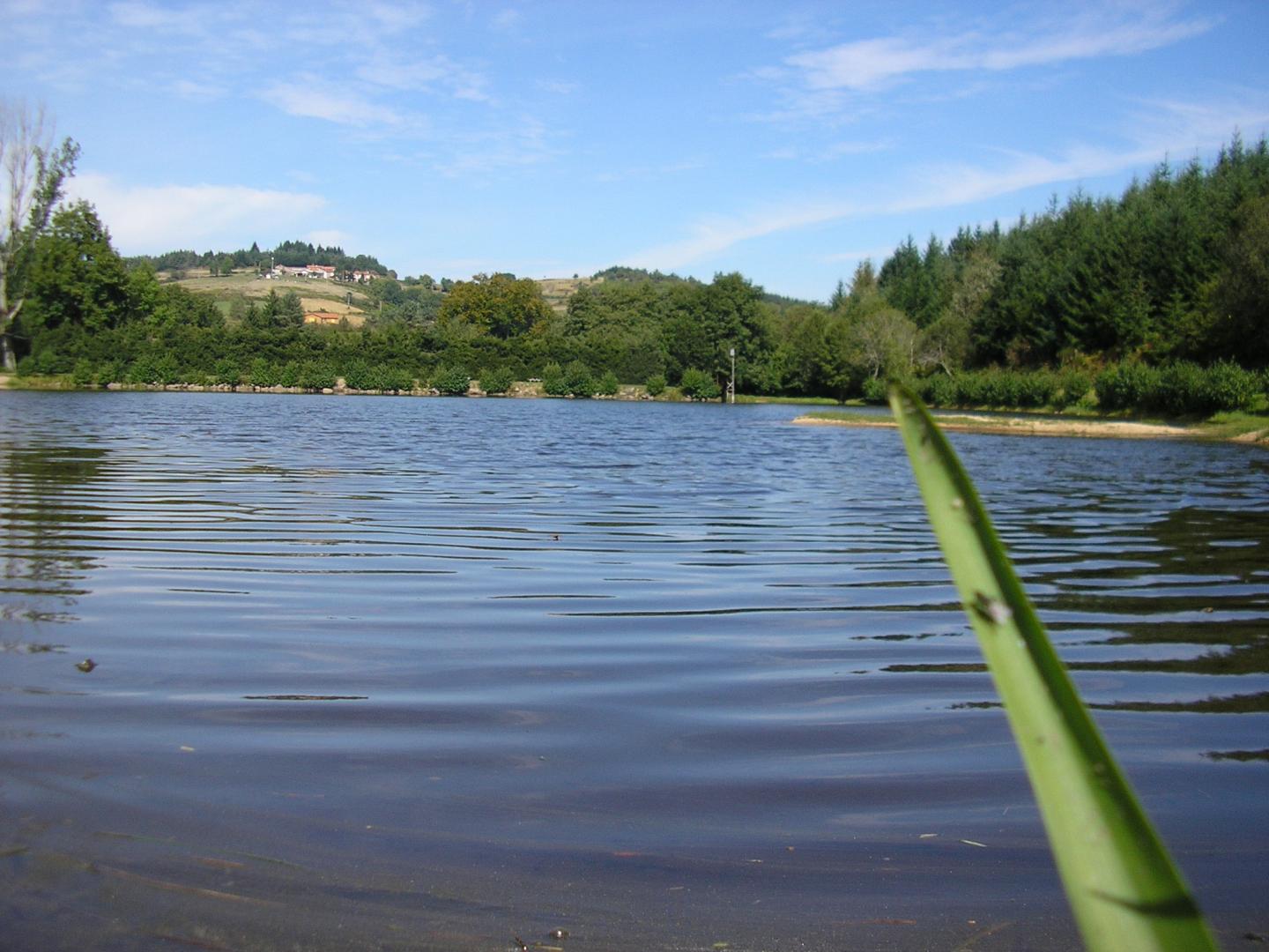 Chausseterre - Circuit N° 18 : Les Jonquilles