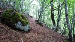 Sur le GR 30, vers la cascade de la Barthe (poussages)