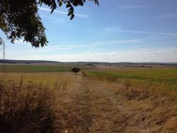 Plaine dans l'Yonne