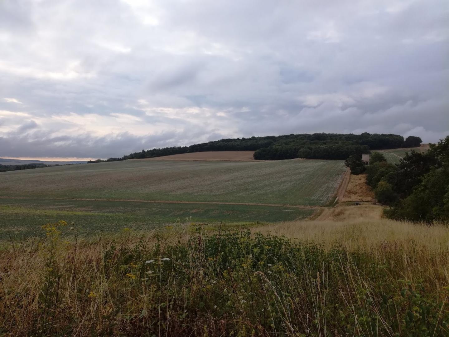 Chemin de Compostelle - Via Senonensis - Etape 3 : De Pont-sur-Yonne à Joigny
