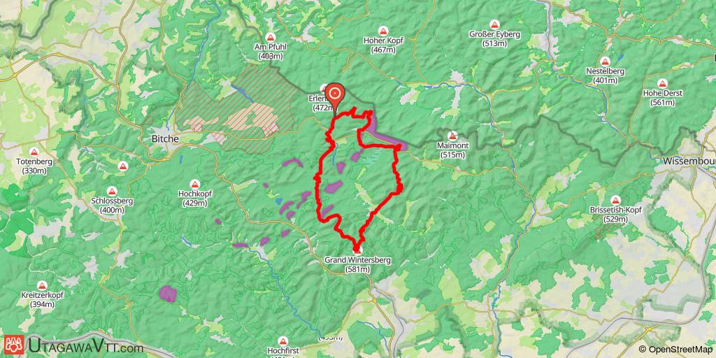 Les 4 châteaux en pays de Bitche