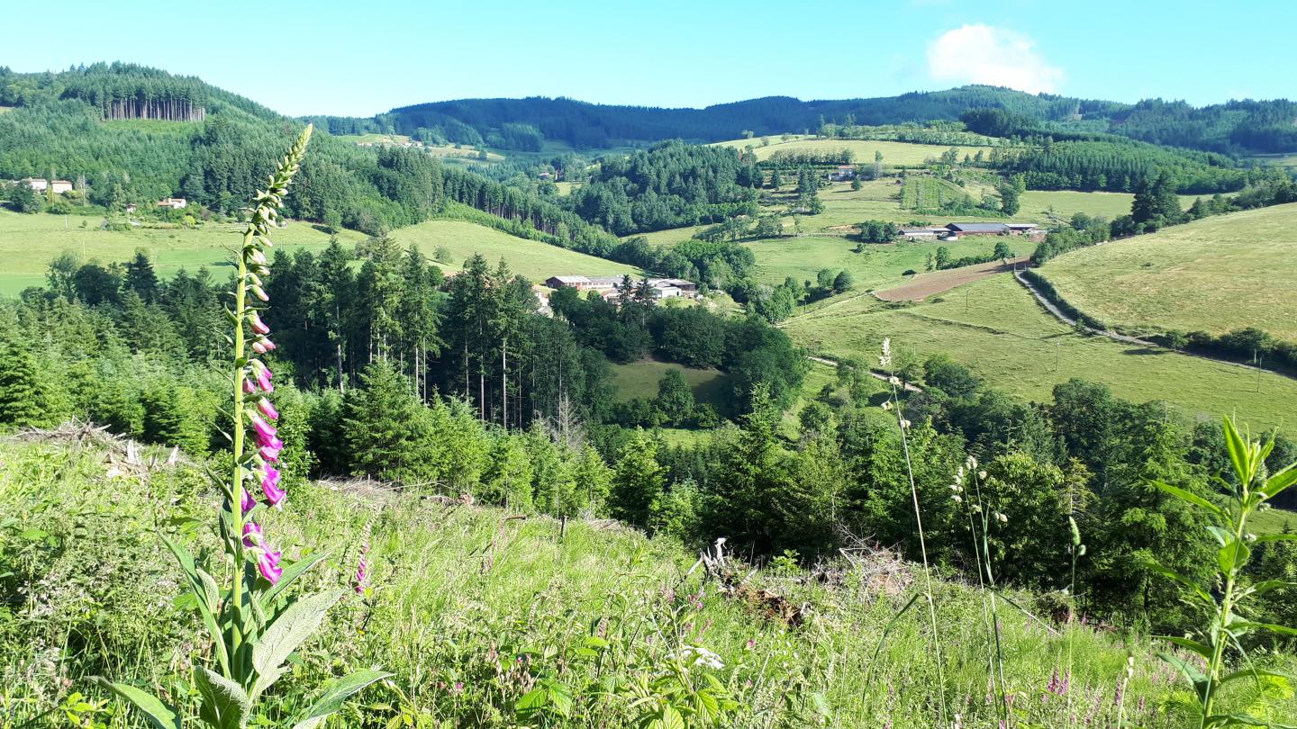 24ème Randonnée Buissonnière 2019 - 38 km