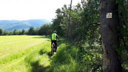 Balisage Espace VTT-FFC Beaujolais Vert