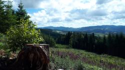 Monts du Beaujolais
