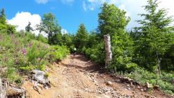 Montée au carrefour Palichatier (raide et pierreuse)