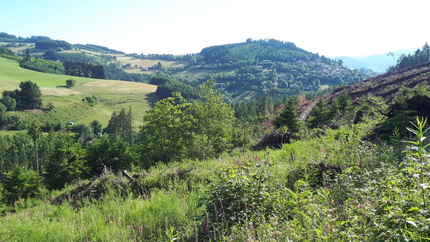 24ème Randonnée Buissonnière 2019 - 24 km