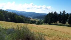 Champs et forêts