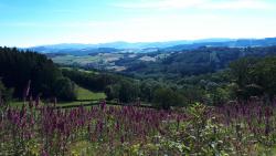 Paysages et digitales