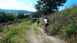 Descente