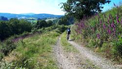 Descente