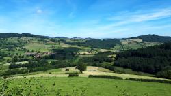 Paysage