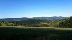 Vue sur les Monts du Forez