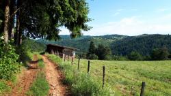Longue montée après Saint Thurins