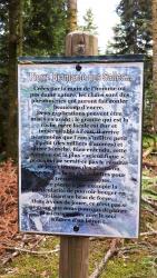 Panneau de la Pierre Branlante